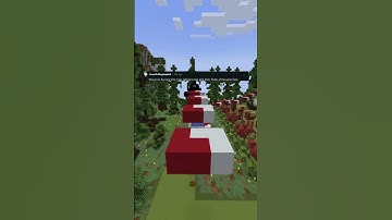 What is the worst thing you