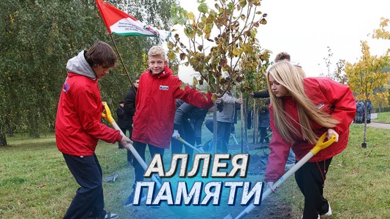 Память под открытым небом || История для будущего || Аллея елей и лип появилась в Минске