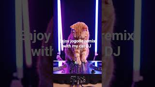 DJ Catix on the mixed #jogodo#wizkid