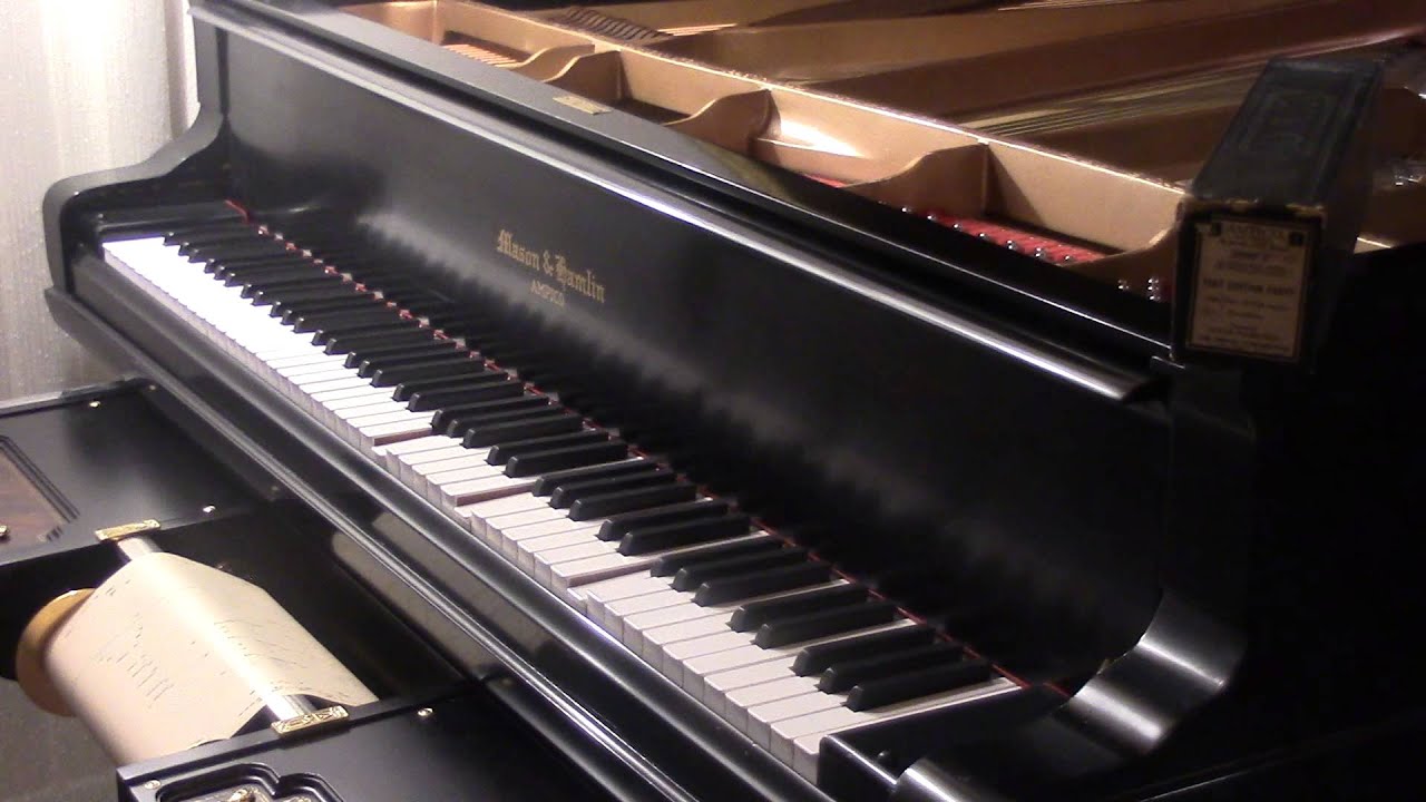 AMPICO "THAT CERTAIN PARTY" Donaldson  Played by Edgar Fairchild