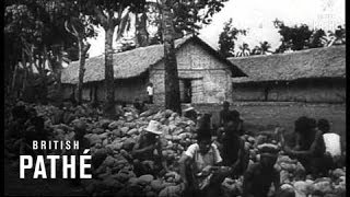 Beggars In Indonesia (1947)