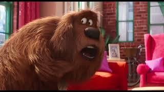 The Secret Life Of Pets შინაური ცხოველების საიდუმლო ცხოვრება Best Moments 2