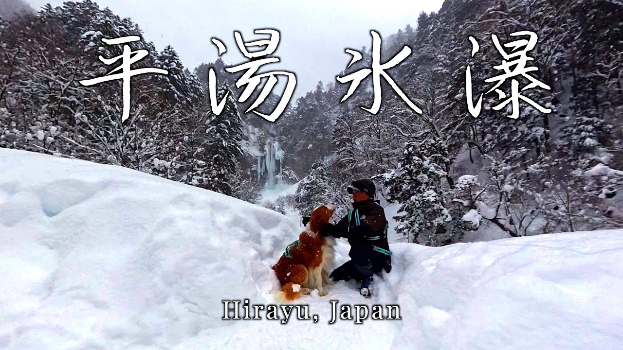 日本百滝　平湯大滝の氷瀑 #japan
