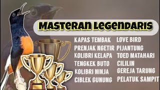 MASTERAN LEGENDARIS !! SEMUA ADA DISINI !! BURUNG BURUNG PILIHAN !!