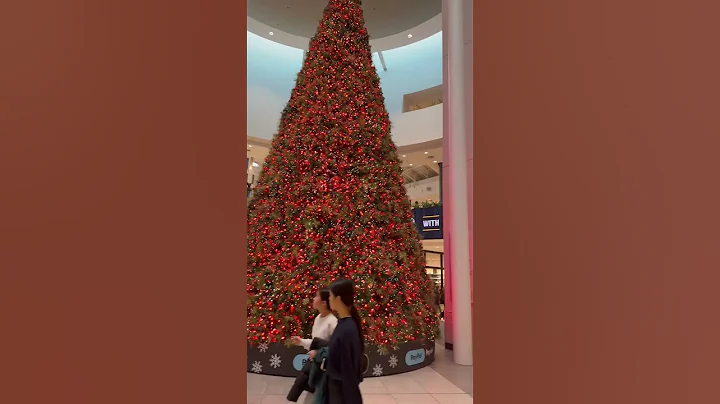 Calgary #2025 #chinook #popular #recommendations