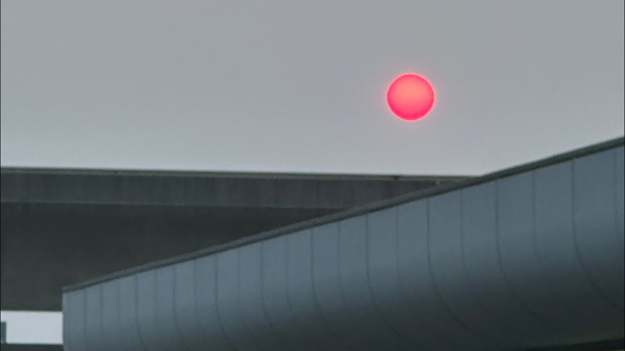 Chinese Guqin music for liver healingASMRwellness peacepeacemaker 