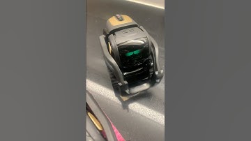 All My Anki Vectors Come to Life! 🤖✨ #robot #ankirobot #ankivector #vector #anki #vectorrobot #ai