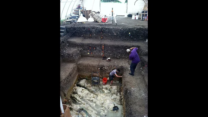 Pre-Ice Age Tools Dating  Back 16,000 Years Found ...