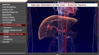 Liver Module Medtrainer - Anatomy Training