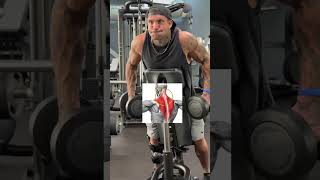 El Mejor Ejercicio Para Trapecio gymtips gym fitness training workout entrenamiento deporte