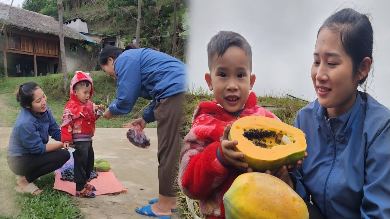 Single mother harvests fruits from the forest and papayas to sell at ...