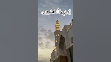 سورة الأحزاب بدر التركي