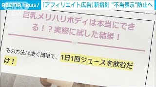 「アフィリエイト広告」新指針“不当表示”防止へ(2022年6月29日)