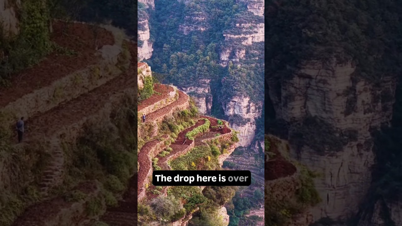 Farming on the Edge of a 500m Cliff 😳Hashtags:
