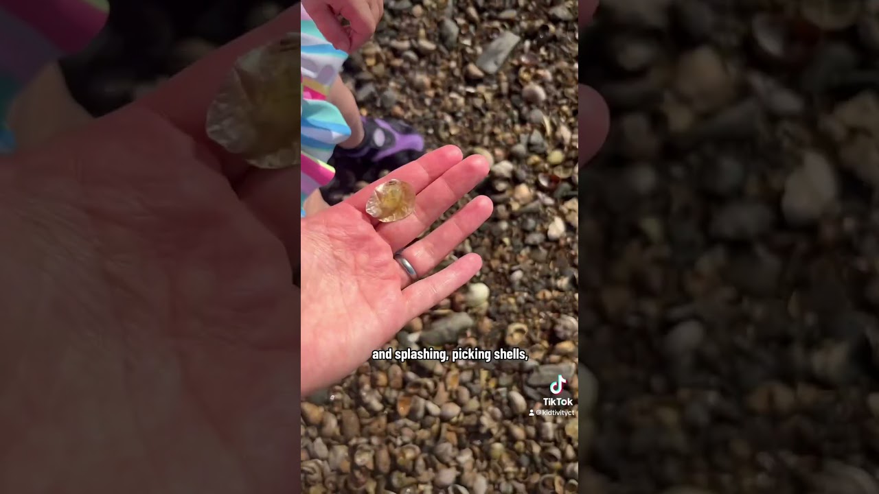 Low tide at Milford’s Silver Sands State Park in Connecticut