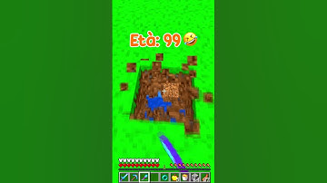 Basi segrete Minecraft 🧡