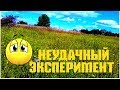 Сеять фацелию на медонос нужно весной!