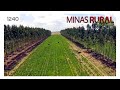 MINAS RURAL - 1240 - 12/09/2020