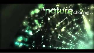 Nature scene splash sample