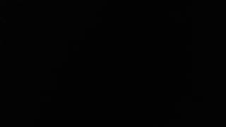 The Powerpuff Girls - S1 Ep.2 Insect Insidepowerpuff Bluff