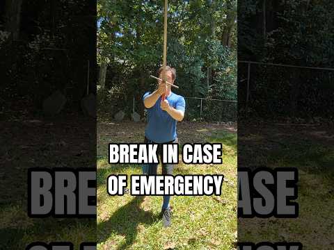 The Break In Case Of Emergency Sword Guard