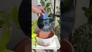 Find these on Amazon ✨ - check out my storefront (in bio) if you wanna support my page! 🌿