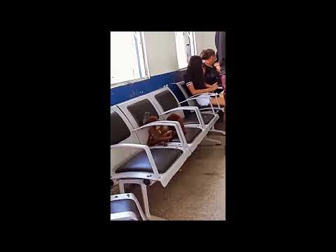 Macaco ganha carinho de pessoas em hospital no Acre