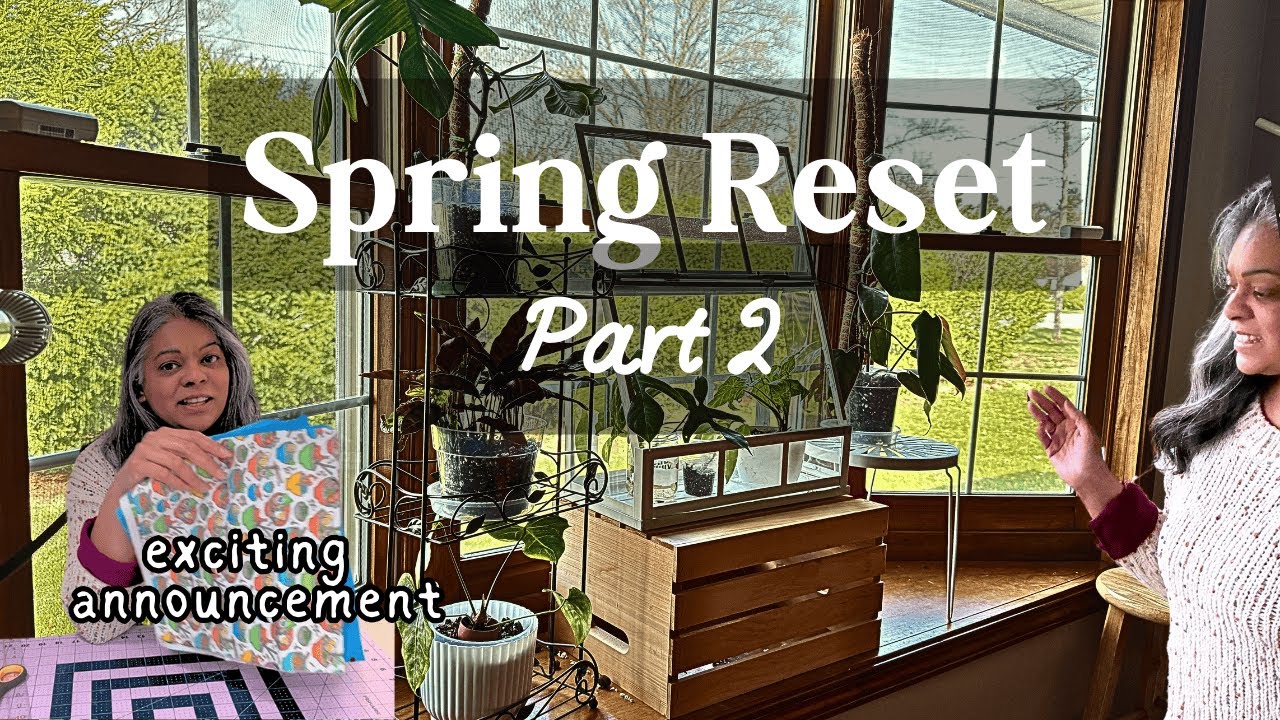 Spring Plant Maintenance | Treatments, Repotting & Special Announcement