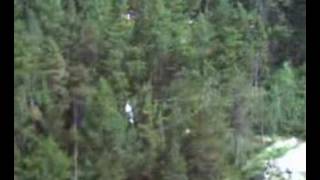 zip wire