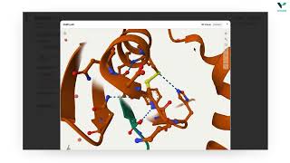 Unlock Antibody Design Potential: Paragraph Integration on Vecura
