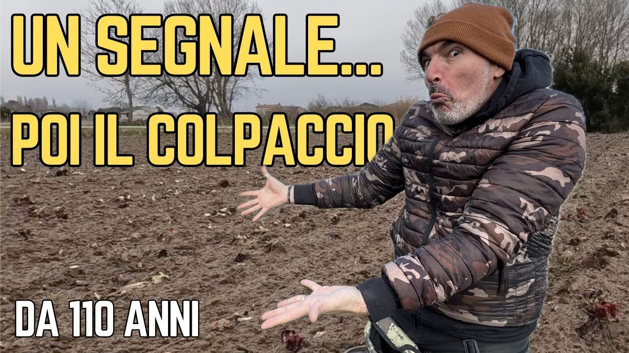 La terra dà sempre buoni frutti… | TESORI SEPOLTI