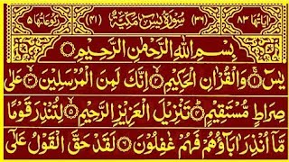 Surah Yaseen Sharif || Surah Yasin Surah Rahman || Surah Yaseen Qur'an Tilawat || Qur'an Recitation