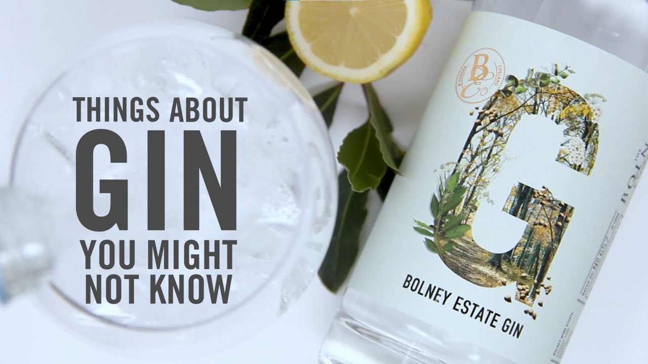 Facts about gin you might not know YouTube