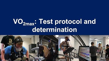 An Introduction to the Assessment of Maximal Oxygen Uptake (VO2max)