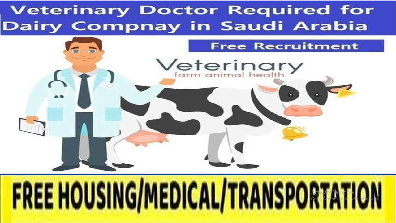 Doctor jobs in Saudi Arabia / veterinary Doctor jobs in Saudi Arabia
