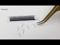 TDANCE 3D 4D 5D 6D Premade Fans Eyelash Extension W Style Faux Mink