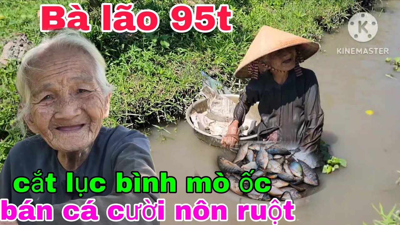 Bà lão 95t cắt lục bình mò ốc và đi bán cá để mưu sinh. Thiện Tâm 