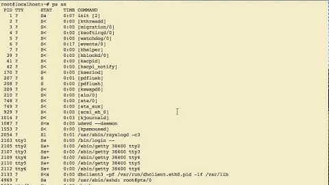 kippo hacker confused