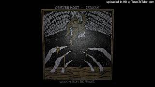 STARVING INSECT AND CATSCAN - RAINMAKER