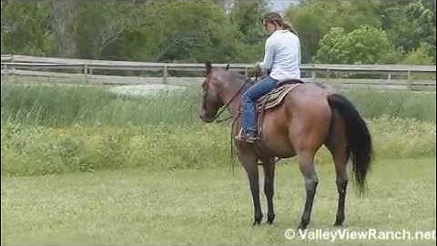 Bob  ***For info, price, etc., go to our website*** Valley View Ranch