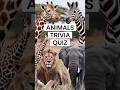 Who Am I? 🤔 Guess the Animal Quiz for Kids 🦁🐘🐼|Fun Educational Game #kids #quiz #animals #games