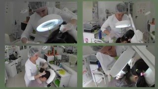 Eliminación De Piojos Y Liendres Tratamiento Profesional En Cabezittas