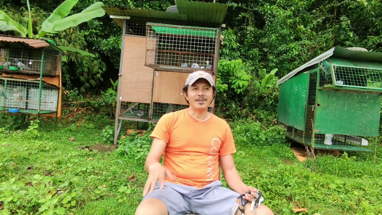 Mainam na diskarte ng paronda para manalo sa karera