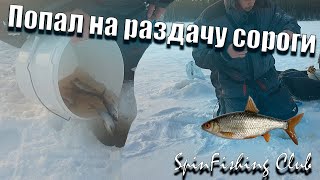 картинка: Сорога как из пулемёта! Попал на дикий клёв! Ловля на мормышку! Короткая рыбалка под конец дня!