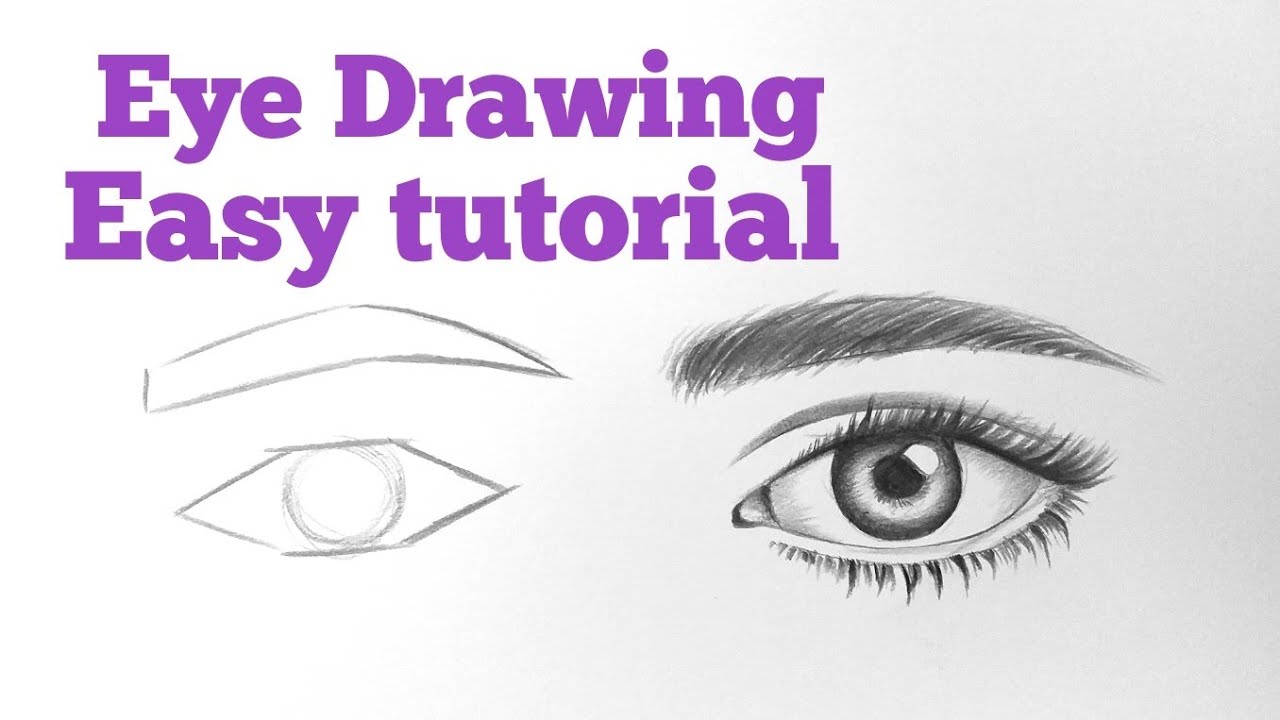 Drawing for Beginners: Free, Step-by-Step Guide  Drawing for beginners,  Eye drawing, Easy drawings