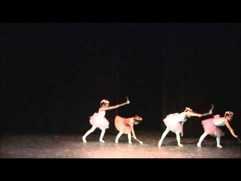 Le Premier School of Ballet Recital 2013 - Flower Fairies camera iphone 8 plus apk