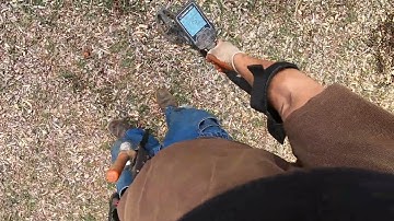 LIVE DIG COMPARISON!! Nokta Legend vs Deus 2 in playground.