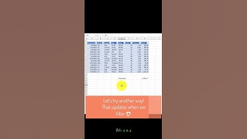 Excel Filtering Data and Totals.