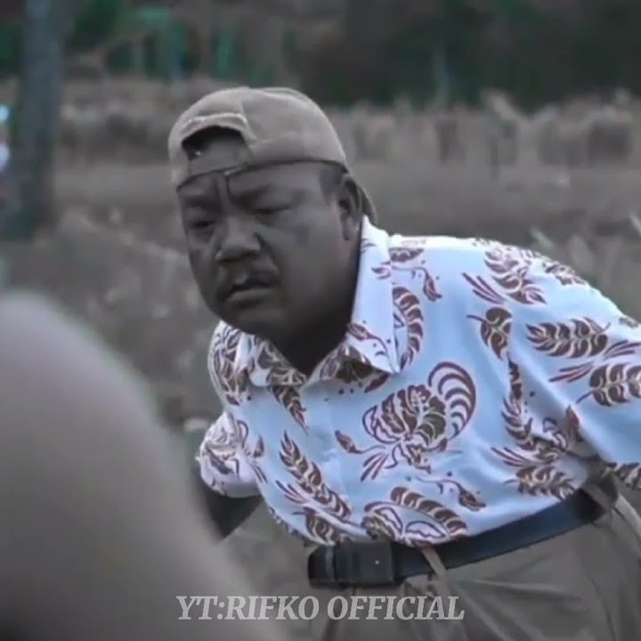 story wa gendut woko chanel