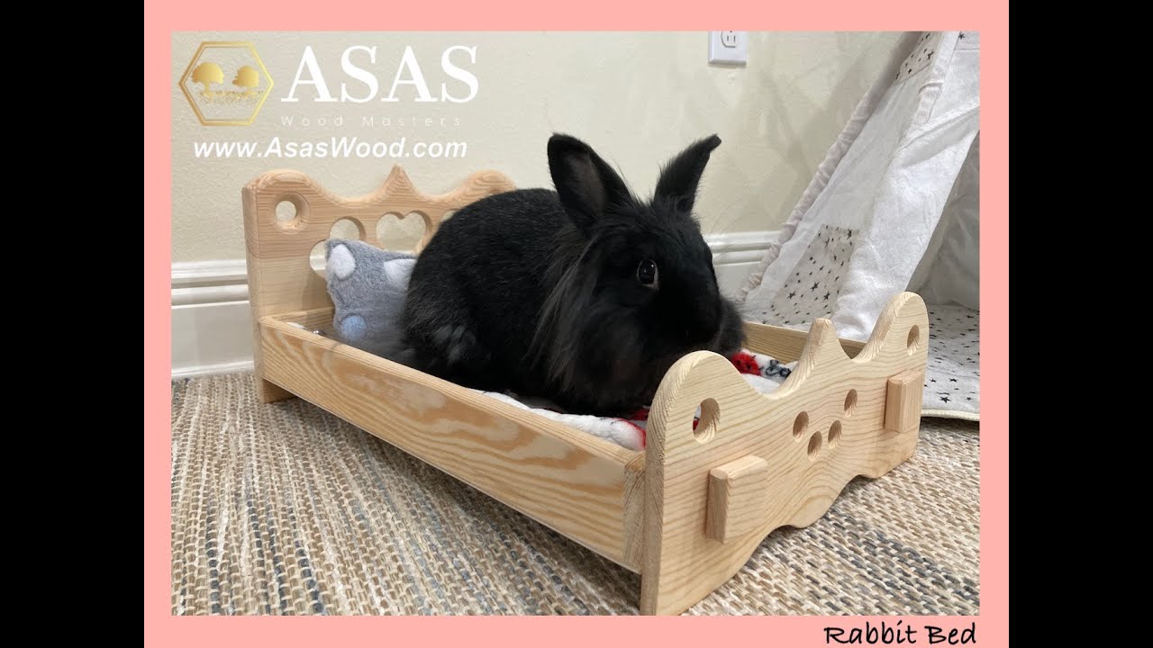 Rabbit Bed Wooden / AsasWood YouTube